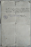  Voronezh Ecclesiastical Consistory Metric Certificate People's School Kiev Province, photo number 4