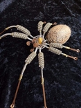 Sculpture Amazonian art "Spider", photo number 3