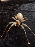 Sculpture Amazonian art "Spider", photo number 4