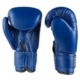 Боксерские перчатки Everlast, DX,12oz, фото №3