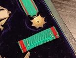 Італія. Комплект Ордена Заслуг. Зірка, шийний хрест, фрачник, петлиця, фото №9