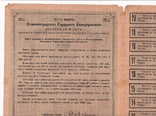 Елисаветград, 200 руб, Городской Заем, 1918г., фото №10