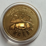 Золотая монета Год Свиньи.Британия 2019 г. Золото 1 OZ., фото №2