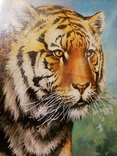 Картина тигры, фото №10