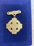 Масонская медаль STEWARD RMBI 1965 г., фото №3