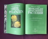 Encyclopedia of medicinal plants. Mannfried Palow. Moscow, 1998., photo number 4