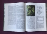 Encyclopedia of medicinal plants. Mannfried Palow. Moscow, 1998., photo number 9