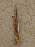 Нож ручка клешня краба, photo number 2