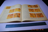Книжковий альбом Б. Мейнарда Вівінга, фото №8