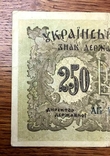 250 карбованцев 1918 года. АБ 479507, фото №4