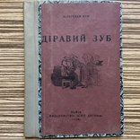 1928 Діравий зуб Вільгельм Буш Львів Переклад Р. Завадович ( Дитяча книга ) ілюстрації, фото №2