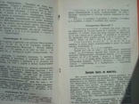 Руководство для собрания старинных русских монет, фото №5