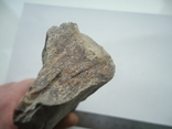 Fragment of petrified wood., photo number 4