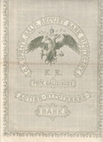 Львов, 1900г, 1000 крон, Закладной лист, Акция банка., фото №6