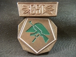 6F32 Знак GST, вооруженные силы ГДР, Германия. Тяжелый металл, фото №2