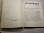 Решетки Ленинграда и его окрестностей, 1938 год., фото №11