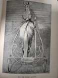 Тренинг и испытания рысистых лошадей 1952 год, фото №4