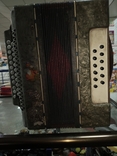 Accordion, photo number 8