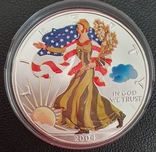 С1 доллар США Шагающая Свобода -Серебрянный орел 2004 г, серебро, photo number 2