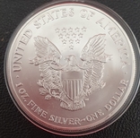 С1 доллар США Шагающая Свобода -Серебрянный орел 2004 г, серебро, photo number 3