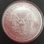 С1 доллар США Шагающая Свобода -Серебрянный орел 2004 г, серебро, photo number 7