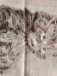 Котик платочек, фото №3