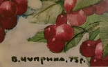Чупрына В. Г. Народный художник Украины. Академик. Акварель 1975 г., фото №3