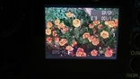 Фотоаппар зеркальн CANON EOS 20D JAPAN комплект лучшее для любителя, фото №7