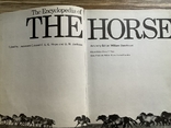 Енциклопедія. Коні The Encyclopedia of the Horse 1974, фото №3