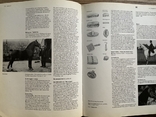 Енциклопедія. Коні The Encyclopedia of the Horse 1974, фото №7