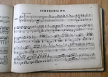 Моцарт В А Симфонии 1-12 Изд C F Peters Liepzig 1882 Автограф Witold Meczynski, photo number 11