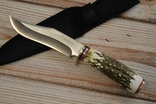 Охотничий нож Рог 23 см (1141), фото №2