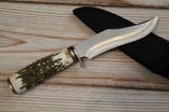 Охотничий нож Рог 23 см (1141), фото №5