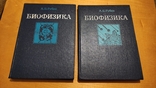 А.Б. Рубин Биофизика 2 тома 1987 года, фото №2