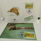 Конверт с открыткой wwf Postes Lao 1984 тигр 3, фото №2
