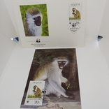 Конверт с открыткой wwf 1986 ST. Kitts обезьяна 1, фото №2