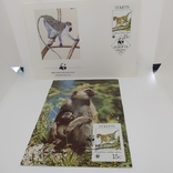 Конверт с открыткой wwf 1986 ST. Kitts обезьяна 4, numer zdjęcia 2