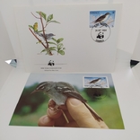 Конверт с открыткой wwf 1984 Dominica птица 1, фото №2