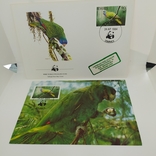 Конверт с открыткой wwf 1984 Dominica птица 2, фото №2