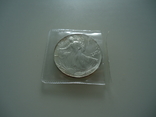 1 доллар 2006г, серебро 1 унция 31.1 грамм, фото №5