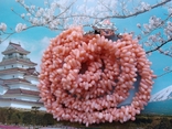Коралові буси 45,84 г 53см, фото №3