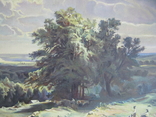 Пейзаж (копия работы Шишкина), х.м.подпись.75Х55., фото №4
