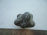 Marine fossil, photo number 2