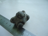 Marine fossil, photo number 4