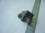 Marine fossil, photo number 5