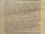 Цирконий Металл златоцветного камнях Зубков, фото №7