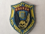 Шеврон Одесса AIR FORCE UKRAINE 1991 - 1993 г., фото №2