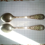 Teaspoons Kolchugino, photo number 4