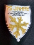Lenzerheide Jacket Logo Швейцарська школа лиж та сноуборду вишивка Lurex, фото №4