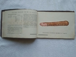 Колбасы и мясокопчености. Копчёные колбасы. Пищепромиздат, 1937 год, фото №10